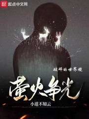 萤火争光，破碎的世界镜草稿